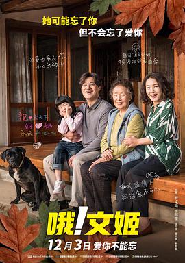 美女在线网站视频免费观看