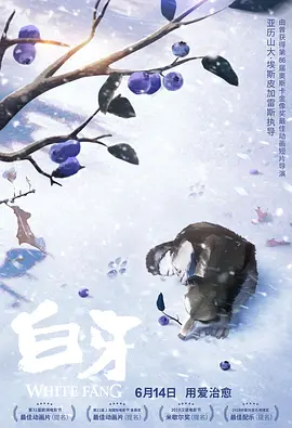 午夜视频高清在线aaa